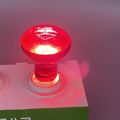 Lampu panas reptil malam inframerah E26 E27 100 watt
