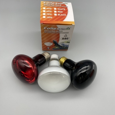 75W UVA Spot Lamp R63 R80 voor Reptielen en Amfibieën Bearded Dragon Lizard Spider Tortoise Snake Chameleon Reptiel Heat Lamp