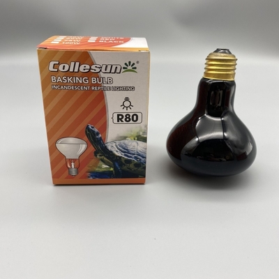 R63 R80 60W/75W Lámpara UVB UVA para reptiles y anfibios Lámpara térmica para reptiles
